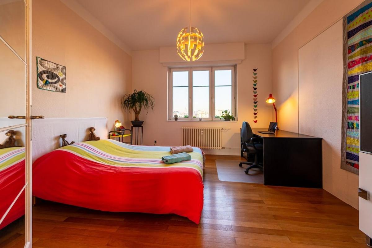 Large In Apartment Strasbourg